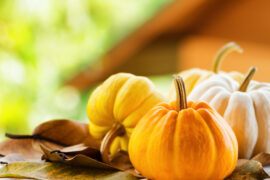 Pumpkins,On,Rural,Landscape,Background.